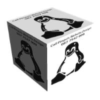 Pinguis Web Design image 17